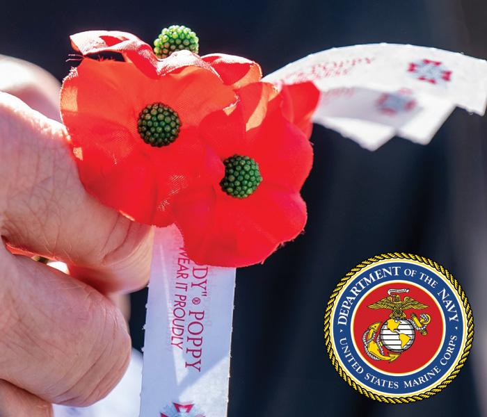 Marine Corps Poppy