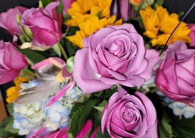 Pink Roses