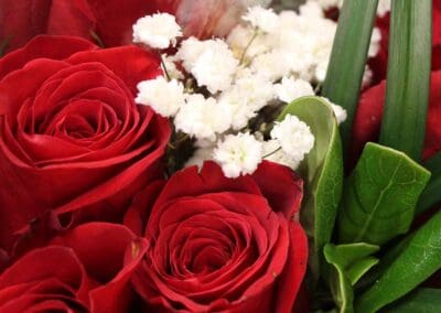 Roses