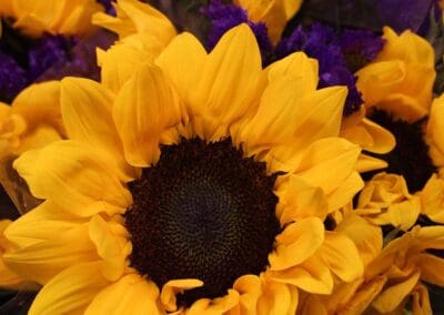 Sunflower Bouquet